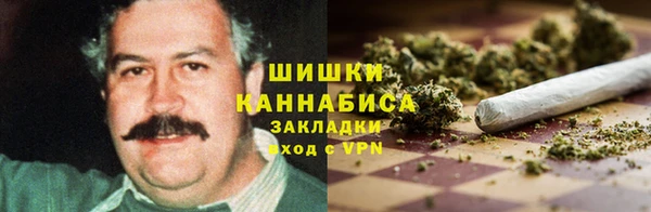 СК Вязьма