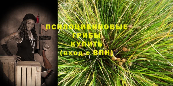 кристаллы Вяземский