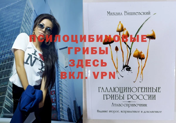 СК Вязьма