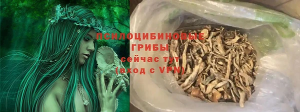 СК Вязьма