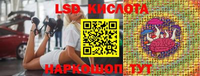 стафф Донецк