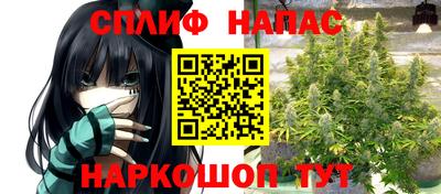 стафф Донецк