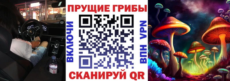 Псилоцибиновые грибы прущие грибы  Ноябрьск 