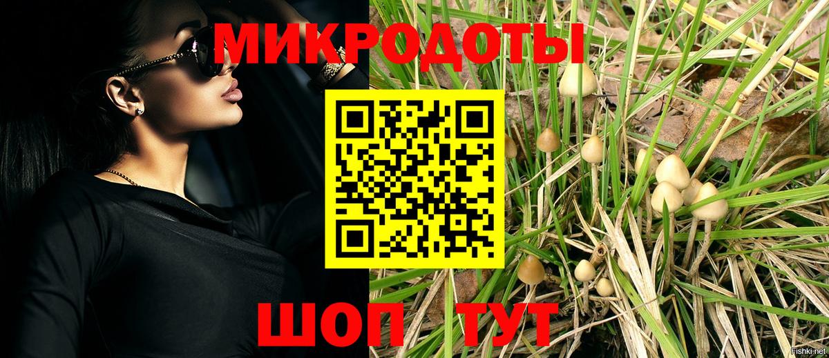 Псилоцибиновые грибы прущие грибы Ноябрьск
