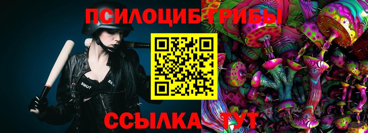 Галлюциногенные грибы Cubensis  Вход с VPN  Ноябрьск 